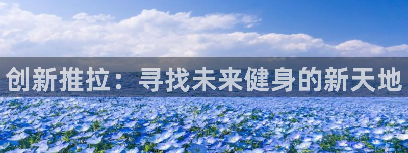 好博体育官方正版app集团简介