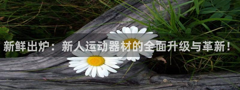 好博体育官方正版app新能源：新鲜出炉：新人运动器材的全面升