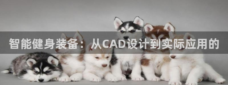 好博体育官网下载开户：智能健身装备：从CAD设计到实际应用的