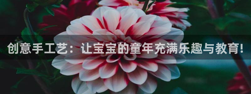 好博体育官方正版app新能源