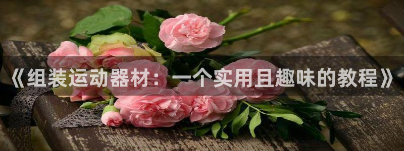 好博体育官方正版app官网：《组装运动器材：一个实用且趣味的