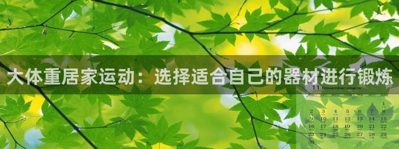 好博体育官网下载平台APP：大体重居家运动：选择适合自己的器
