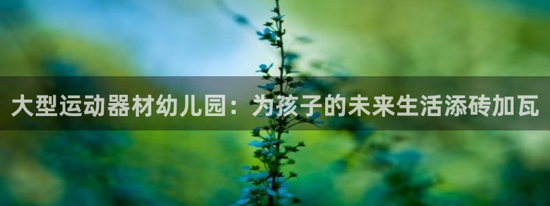 好博体育官网下载平台注册要钱吗：大型运动器材幼儿园：