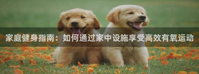好博体育官方正版app官网：家庭健身指南：如何通过家中设施享