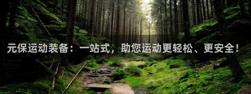 好博体育官网下载招商电话是多少：元保运动装备：一站式