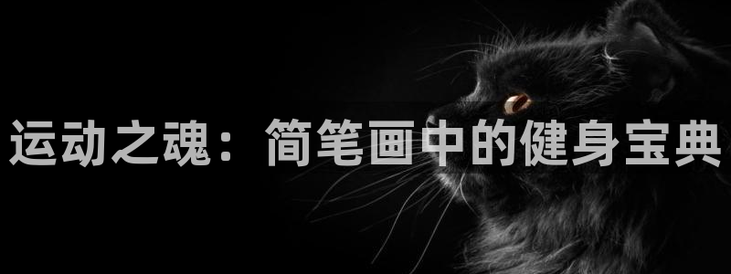 好博体育官方正版app集团简介：运动之魂：简笔画中的健身宝典