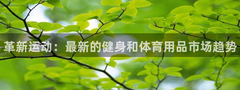 好博体育官方正版app集团简介：革新运动：最新的健身和体育用